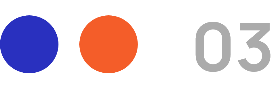 Professional Service